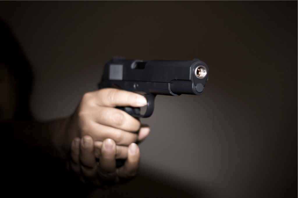 עורך דין רישוי נשק