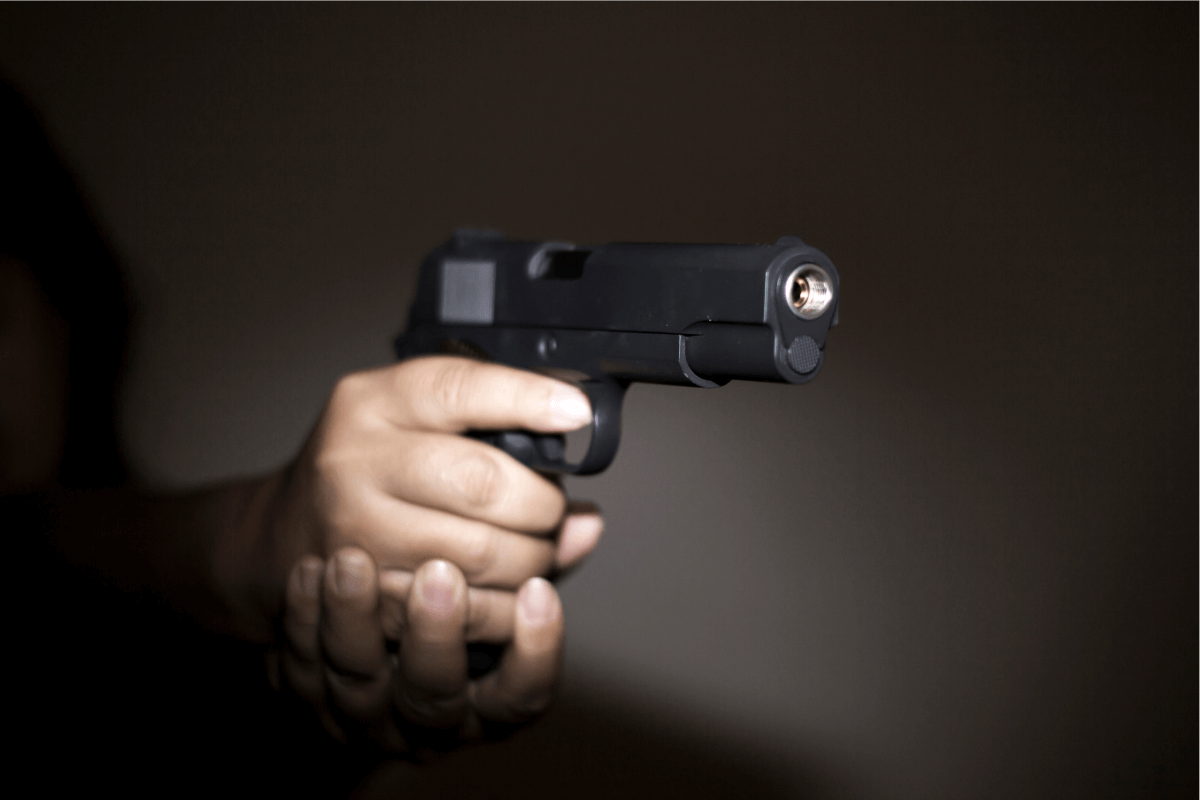 רישוי נשק: חשיבה מחדש