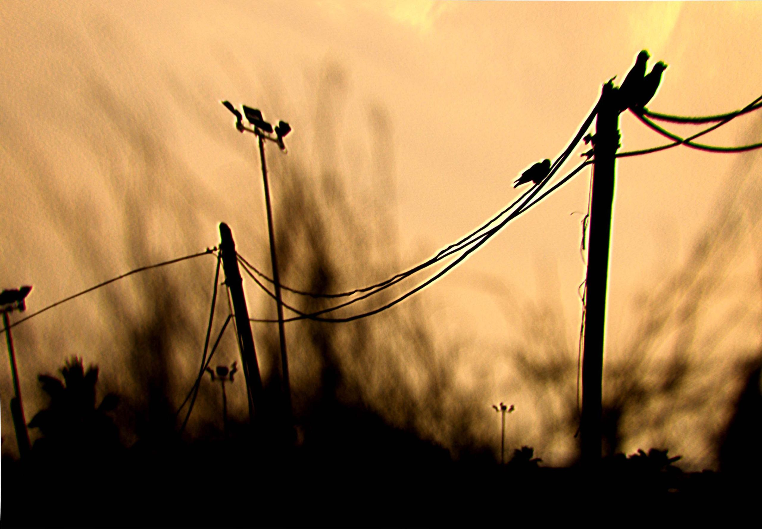 על הקשר בין עבריינות וקורבנות - יוצאים מהמעגל השוטה